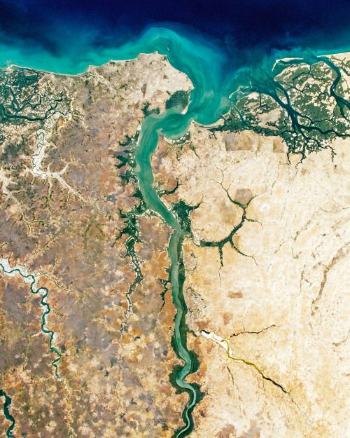 dailyoverview:The Gambia is the smallest country in mainland Africa, following the path of its names