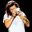harrystuhls