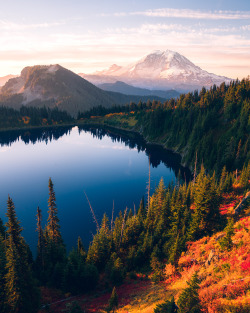 americasgreatoutdoors:  Mount Rainier National Park in Washington is a place to let your spirit and feet run wild. From the hub of Rainier’s snow-capped peak, miles of trails spread out across the backcountry, offering endless adventures and stunning
