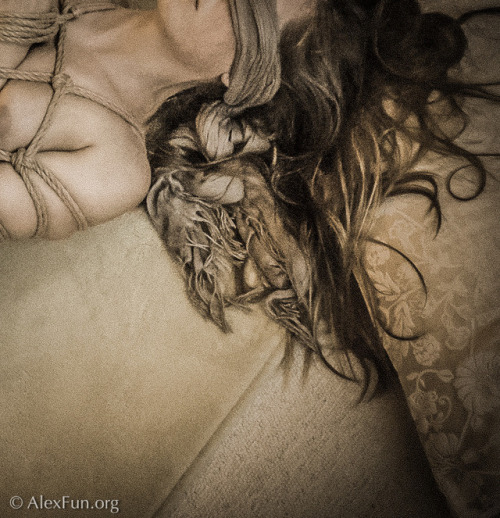 alexandreandco: Airbnb Bondage… Photos&ropes Alex Lobos, Alexfun.org In Berlin?-> Join the bondage jam (model: Circumpunct) 