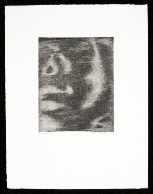 AugmentationSpray-Aquatint Intaglio Print on Rives BFK (Edition of 20)2015