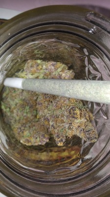 Dank Purps