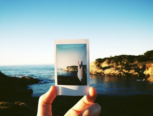 point lobos state reserve