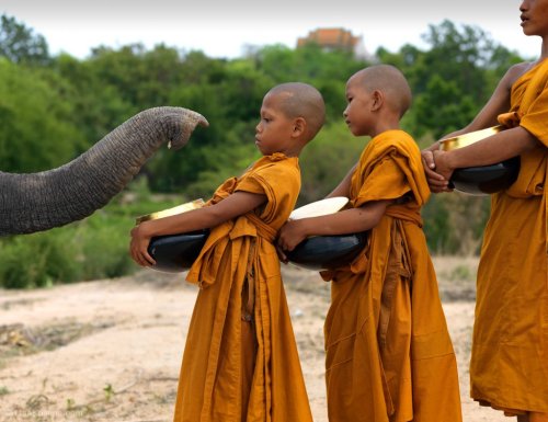 kaiswan:quietbystander:Gimme That, Thailand by Lisa Kristine