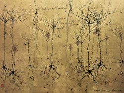 artandsciencejournal:  Art That Gets You Thinking! The brain is a complex biological structure, which works like a machine; or perhaps it is the machine that works like a brain? Two artists, Greg Dunn and Nicolas Baier approach the subject of the brain