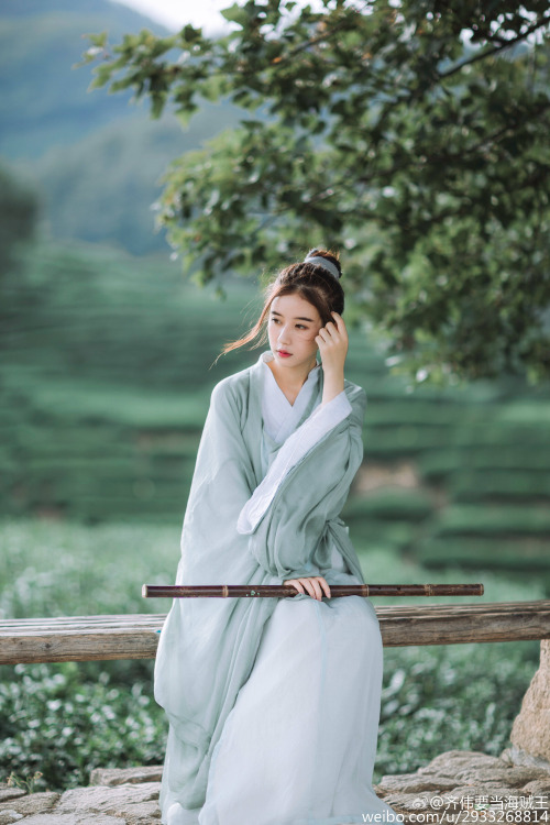 Traditional Chinese Hanfu - Type: Zhiju/直裾 (straight-hem robe) and outer Daxiushan/大袖衫 (large-sleeve