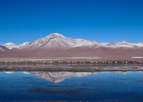 moksaryan:4x4 trip to UyuniOnce we had crossed the border between Chile and Bolivia, we got into our