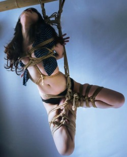 idieinmydaydream:Yada Kinbaku  porn pictures