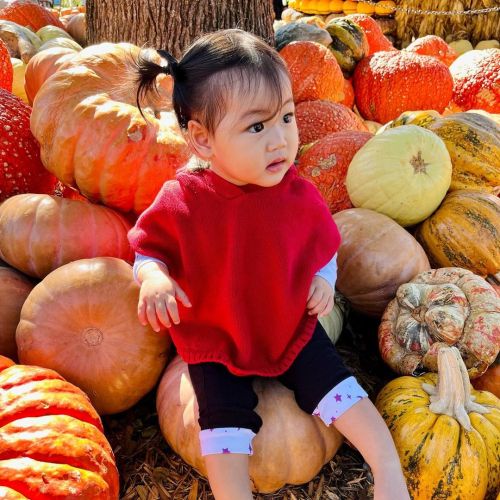 This little red riding hood is very suspicious of pumpkins… #baby #babygirl #10monthsold #happyhallo