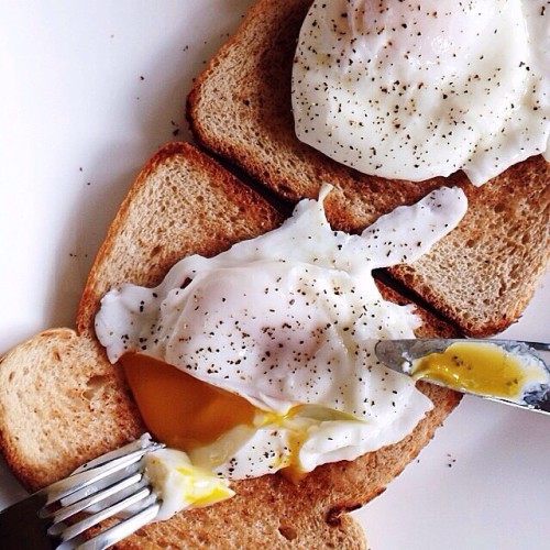 poutful:minimist:Poached eggs &amp; whole wheat bread ugh i’m starving