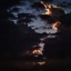 dogasblog