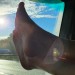 sexythings2:My feet I hope everyone likes please reblog I love people to see.i think