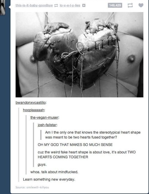 what the fuck. mind=blown
