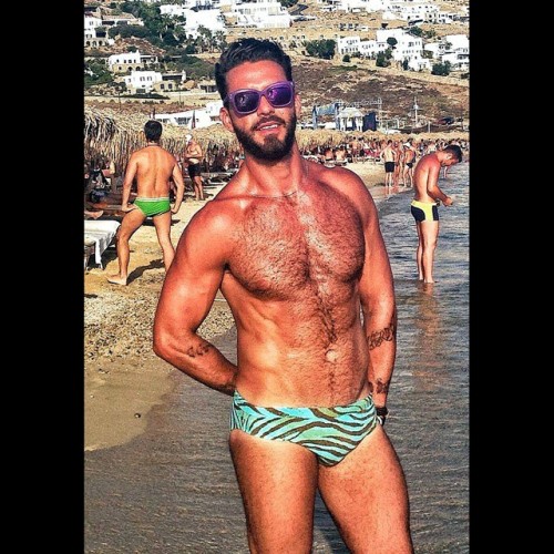:  speedogram | undiegram 