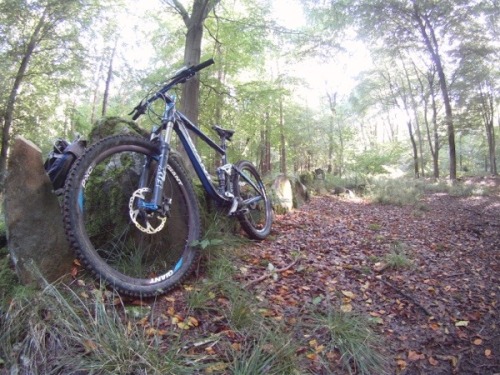 timnorris: MB SwindonMB Swindon is a mountain bike club based in Swindon. I joined around 2 years ag