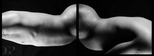 Nude, Study - 2016 Denis Garnier