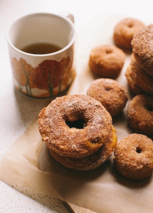 foodopia:  Baked Pumpkin Cinnamon Sugar Doughnuts