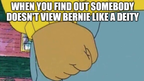 Online Sanders supporters ha