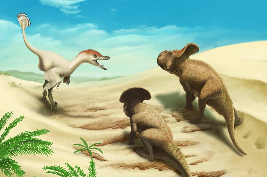 A Dinosaur A Day — Velociraptor mongoliensis, V. osmolskae