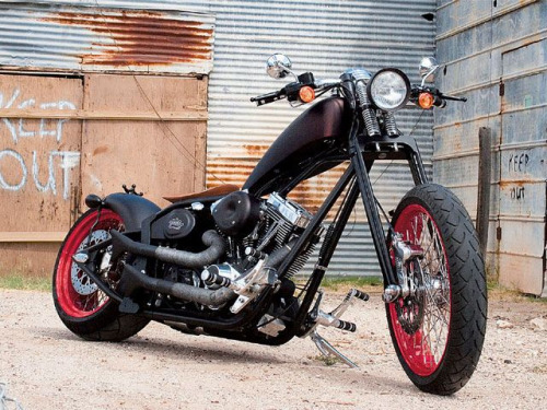 FreeRider
