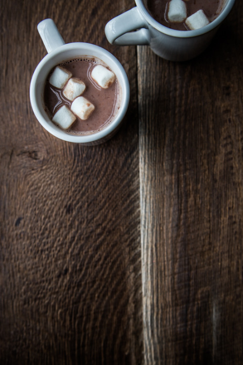 birdasaurus:  Spiked hot chocolate - Jelly Toast
