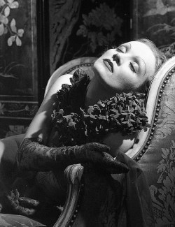 gatabella:  Marlene Dietrich by Edward Steichen 