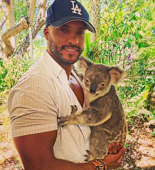 dailyamericangods:rickywhittle Say hello to my little friend Met my new bff Utopia at @lonepinekoala