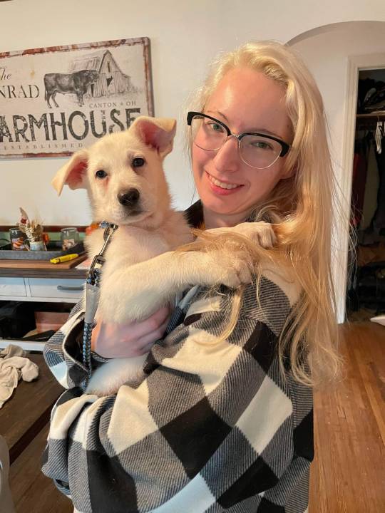 katiiie-lynn:Oops, we did it again! We’re the crazy dog people who went and got themselves another dog (yes we have 5 in total now) 😂 Please welcome Gimli, our newest little pup in the house 🥰😍💖 Astrid’s parents had another litter