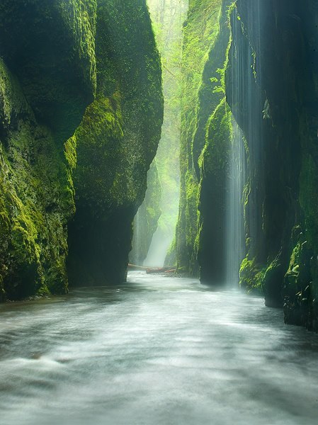 lensblr-network:Oneonta Gorge, Oregonby rob1ch.tumblr.com