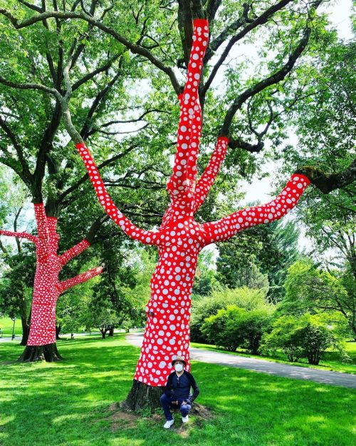 Inmerso en el bosque de Yayoi!!! - En estos días visite la exposición “Natureza cósmica” de Kusama. 