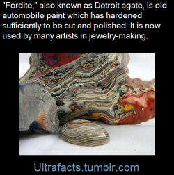 ladyyatexel:  ohgodhesloose:ultrafacts:(Fact