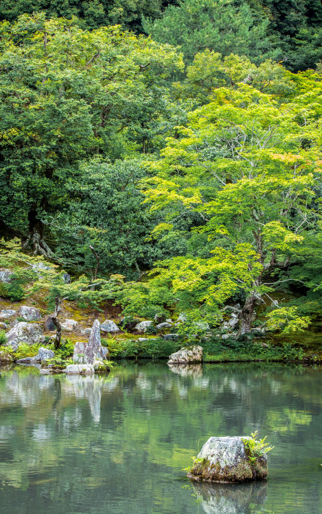 Tenryu Pond Tenryu-ji, Arashiyama, KyotoBy : Albert(Do not remove credits)