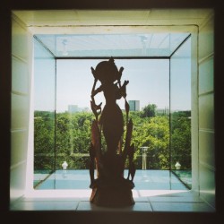 Thatspoiledgiraffe:  A God In A Window. #Vscocam (At Urban Reserve)