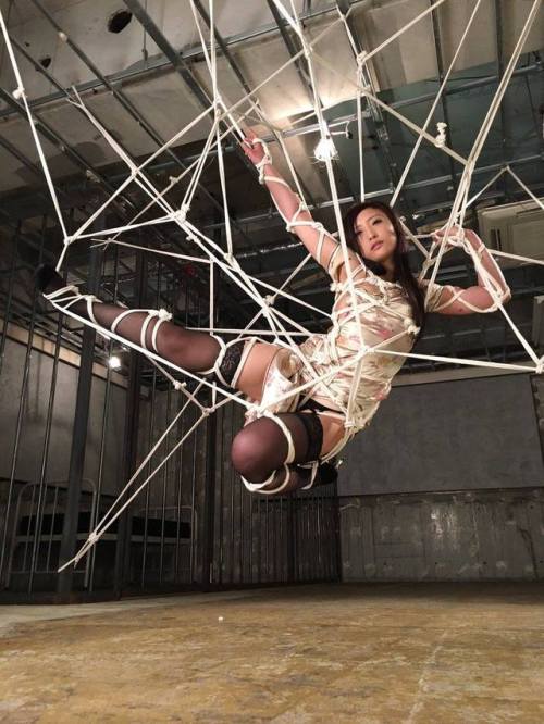 justscreenshots:  Shibari & Photo Hajime KinokoModel Hana Kanno