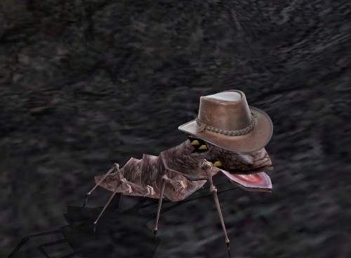 We be lovin’ funky critters in hats today pardners, yeehaw
