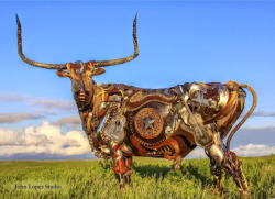 crossconnectmag:John Lopez was born and raised on a ranch in Western South Dakota. His western and rodeo theme bronzes have been well received by the public and have sold all over the country from California to New York. For the past ten years, John