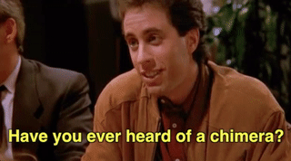 monarchofficial: Favorite Seinfeld Episodes: “Godzilla vs. Biollante” (S1 Ep1.5)