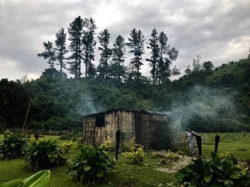 Culture and Ecology of the Fijian Islandsby Miranda Hope SheaWe touched down in Fiji amongst a riot 