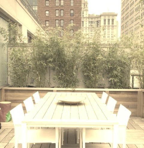 Uncovered In New YorkAn Illustration Of A Medium-sized Modern Rooftop Deck With A Container Garden Without