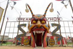 tvandfilm:  Freak Show. 