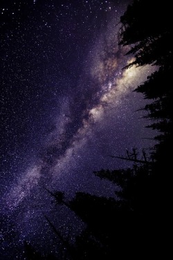 wolverxne:  Yosemite’s Milky Way | by: { Patrick Phelan }