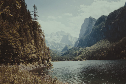 p0urtoujours:  nature/vintage blog   
