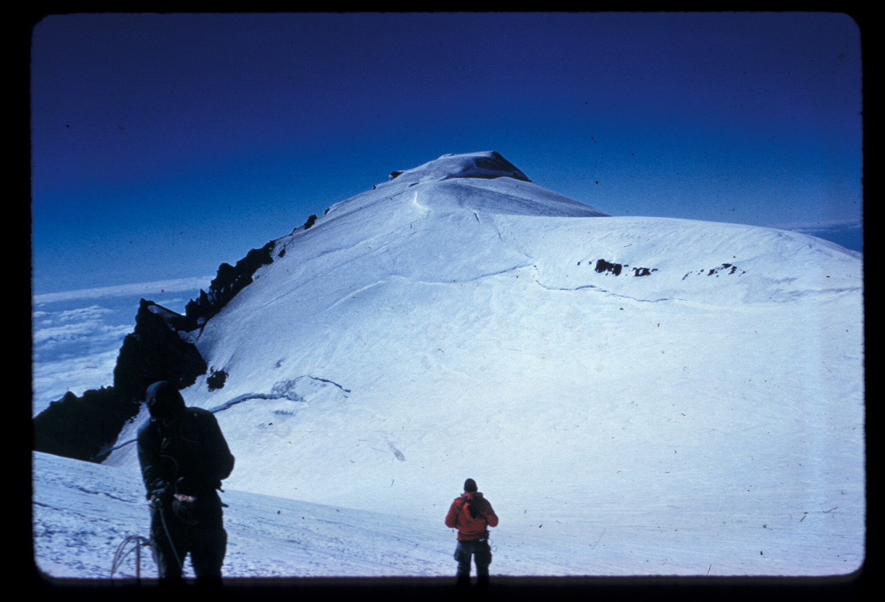 Mount Rainier National Park — Landscape Language Lamella (n) – a gill ...