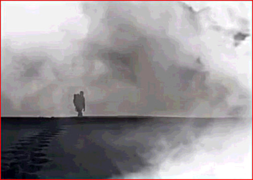 copihueart:  solitudine, foto elaborazione dell’autore 