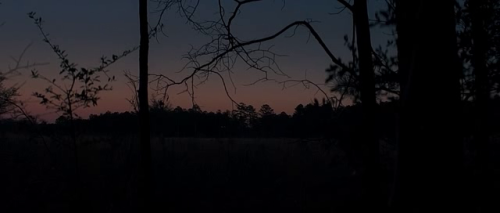 365filmsbyauroranocte:Midnight Special (Jeff Nichols, 2016): landscapes 