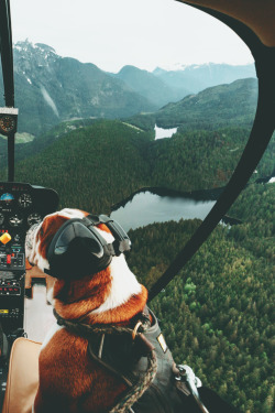 tryintoxpress:Pilot - Photographer ¦ Lifestyle - Nature - Private   