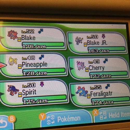 I got an ask from someone asking to see my current team so here are my kids