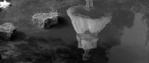 “It was only the wind, my dear.”The Innocents, 1961Cinematography by Freddie FrancisDirected by Jack