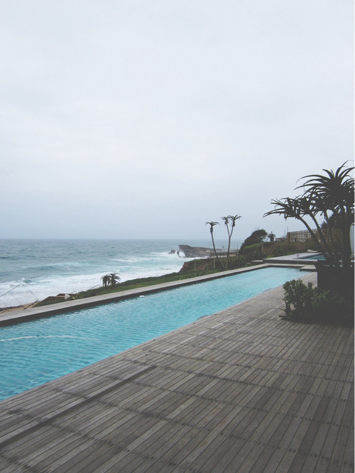 awovoxo:  🌴