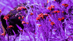 hailtotheboyking:Dean + shades of purple